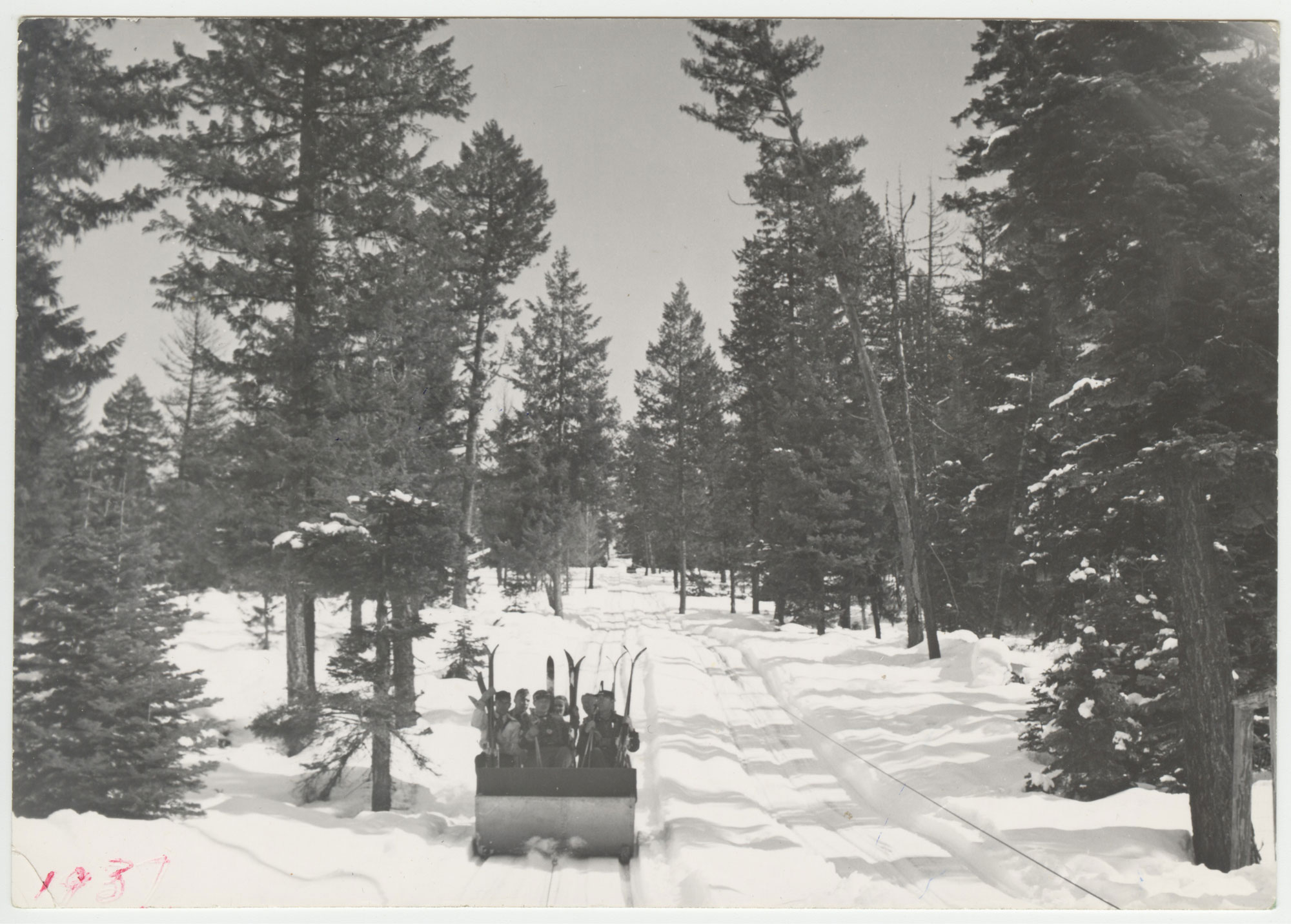 Jigback toboggan at Little Ski Hill, McCall Idaho, 1937