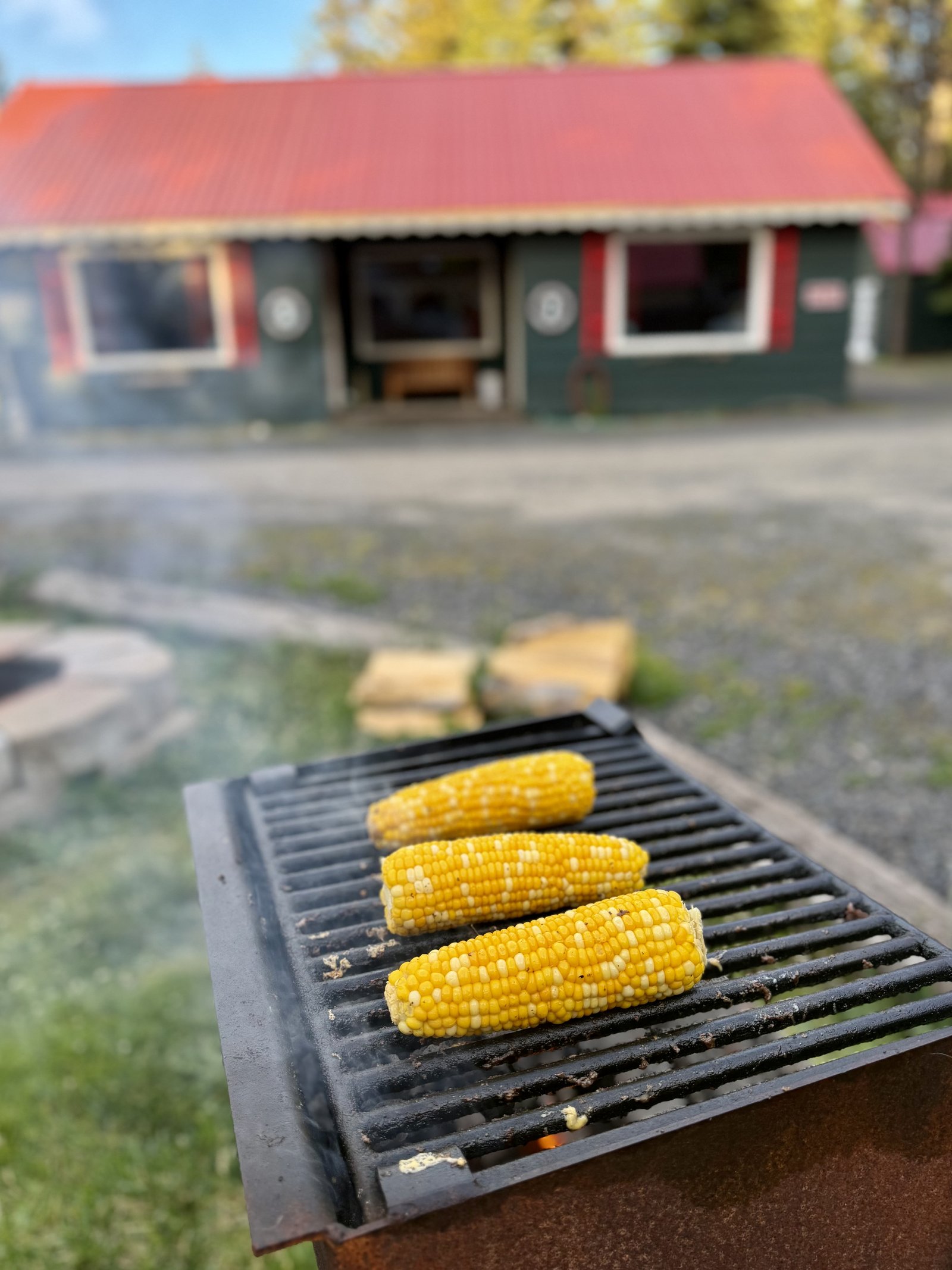 Corn roasting on one of the charcoal grills, with a bungalow and the fire pit behind